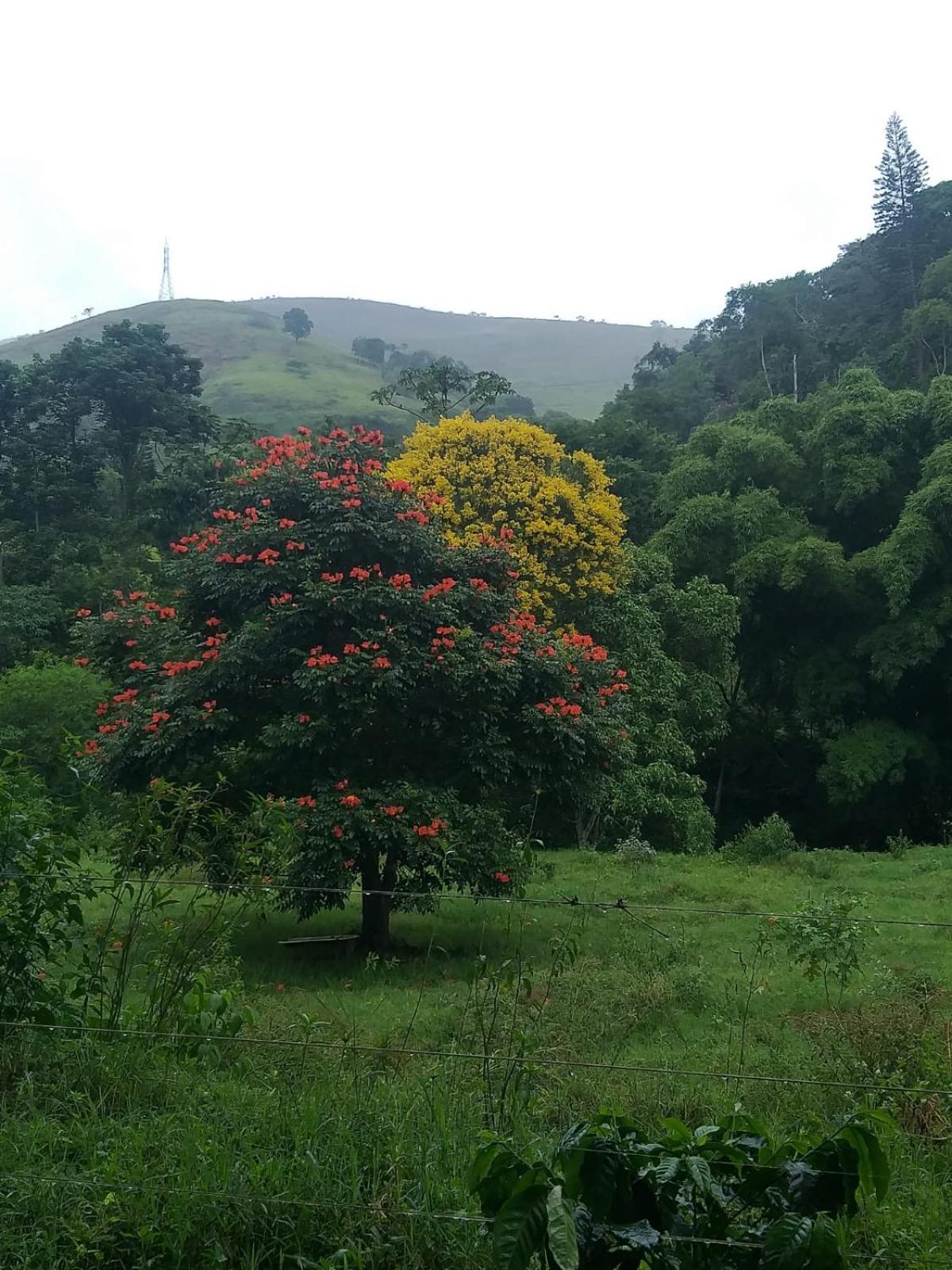 Вилла Fazenda Piloes Петрополис Экстерьер фото